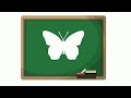Identifying and Describing a Butterfly