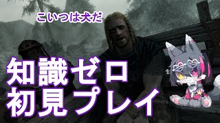 【Skyrim】スカイリウム初見プレイ配信
