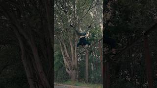 Handstand auf einem Zaun und Baum (nicht angeleght) #handstand #parkour #calisthenics