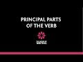 Understanding Verbs and Their Forms