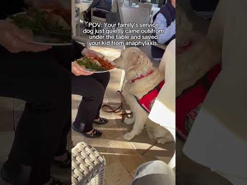 When Harley saved her human from anaphylaxis.