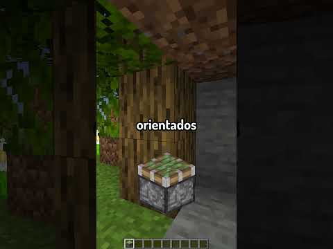 Escondite de la plantita 🌱