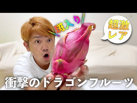 【超激レア】世界で最も珍しい「斑入りドラゴンフルーツ」を食べてみたら衝撃的だった