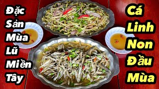 "SẢN VẬT MÙA LŨ PHƯƠNG NAM" Cá Linh Kho Lạt Gỏi Rau Muống Đồng | Bông Lúa Đồng Tháp