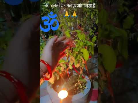 मेरी तुलसी के गमले में ऊं लिखा है #bhaktisong #shortsviral #trendingshorts