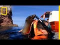 Exploring La Paz and Sea Lions