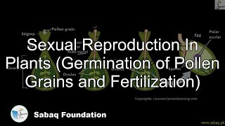 Sexual Reproduction In Plants (Germination of Pollen Grains and Fertilization)
