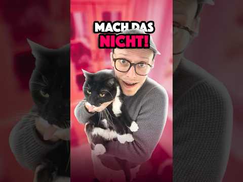 Mach das NICHT! 🙀 #katze #comedy #tiere