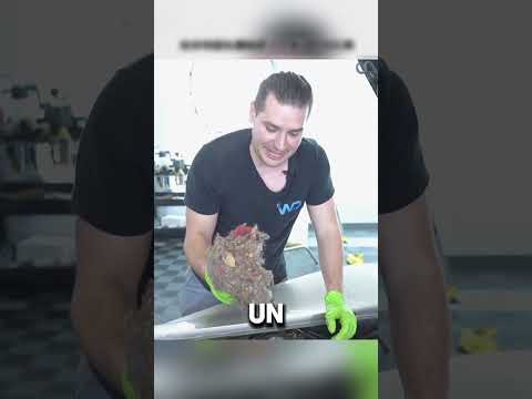Este HOMBRE compro un AUTO a 1000 USD y lo restaur贸 #automobile #curiosidades #storytime #detailing
