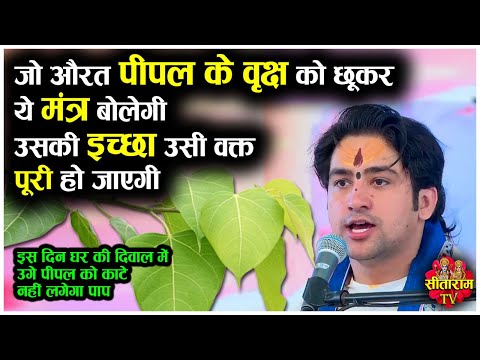 जो औरत पीपल के वृक्ष को छूकर ये मंत्र बोलेगी उसकी इच्छा उसी वक्त पूरी हो जाएगी | Bageshwar Dham Upay