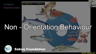 Non-orientation Behavior