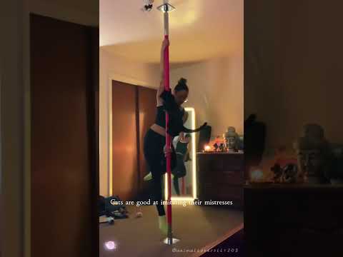 Cats like to imitate their mistresses #cat #catlover #funny #funnyvideos #foryou #fypage #funnycat