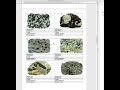 Igneous Rocks and Mineral Composition