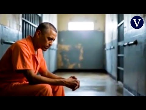 Trump comparte un vídeo falso generado con IA que muestra el arresto de Obama