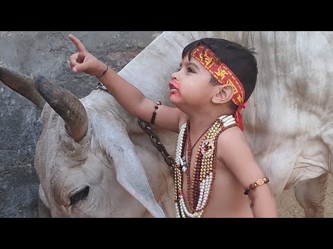 Jay goumata jay shree krishna 🙏 #video#ytvideo#cowvideos #cow #cowlover