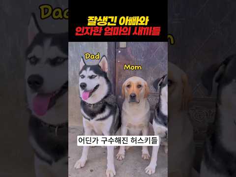 잘생긴 아빠와 착한 엄마 그리고 똑닮은...