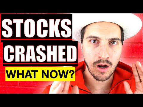 THE STOCK MARKET HAS CRASHED | WHAT NOW?