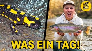 FORELLE GEFANGEN, GETÖTET & GERÄUCHERT! 😱 (+ krasse Wildtiersichtung)