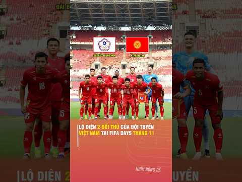 LỘ DIỆN 2 ĐỐI THỦ CỦA ĐỘI TUYỂN VIỆT <strong>NAM</strong> TẠI <strong>FIFA</strong> DAYS THÁNG 11