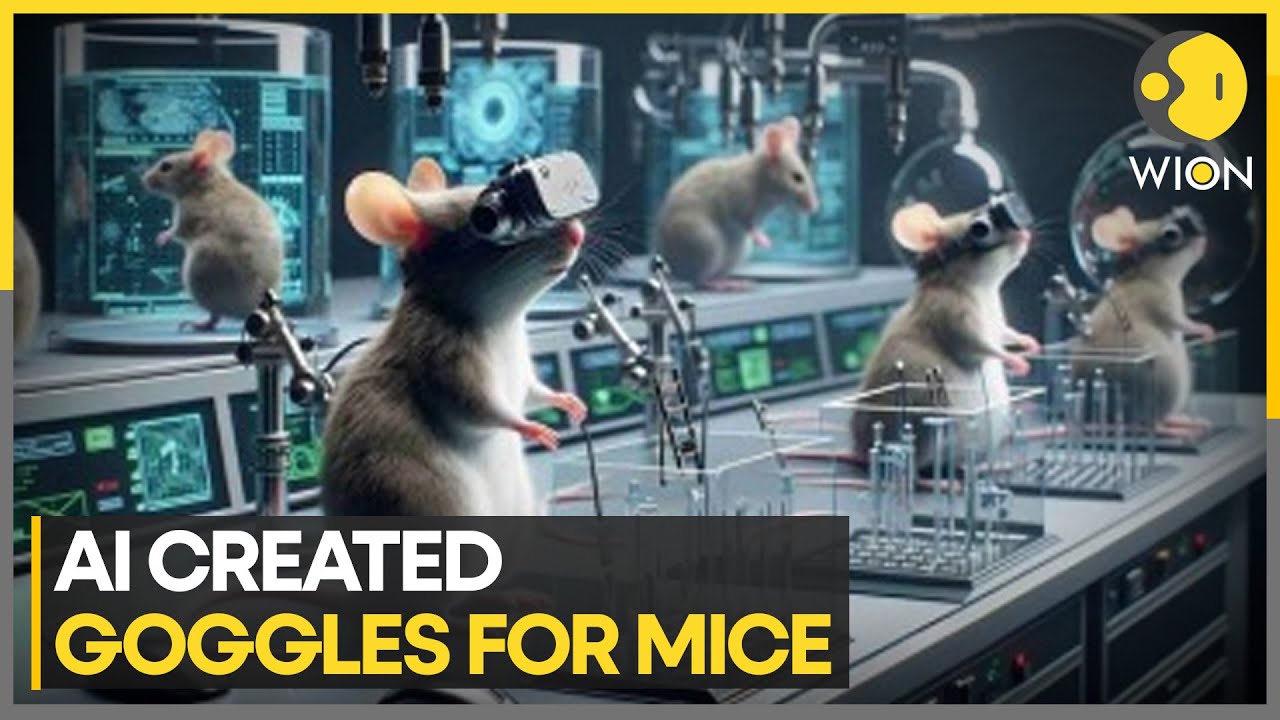 Researchers have created virtual reality eyewear for mice : “Goggles for mice”