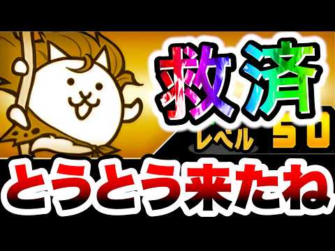 アプデで救済措置きたね〜〜〜(落涙)！！！！！　にゃんこ大戦争
