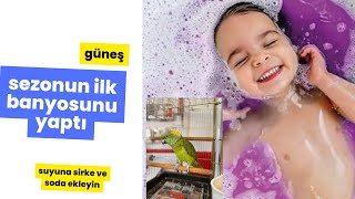 Bugün sezonun ilk banyosunu yaptırdım