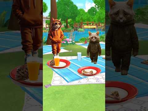 poor cat and rich cat #cat #usa #english