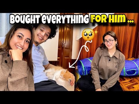 WE ARE PARENTS NOW π₯°, OUR FIRST PET TOGETHER #alizehjamali