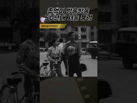 한국고전영화 여사장(1959) 추억이 방울방울 50년대 서울 풍경