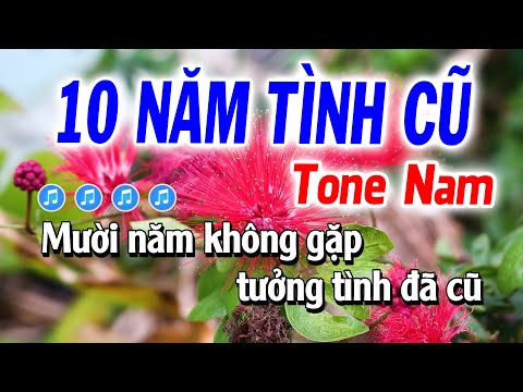 Mười Năm Tình Cũ Karaoke Tone Nam (La thứ) Nhạc Sống | Tuyết Nhi