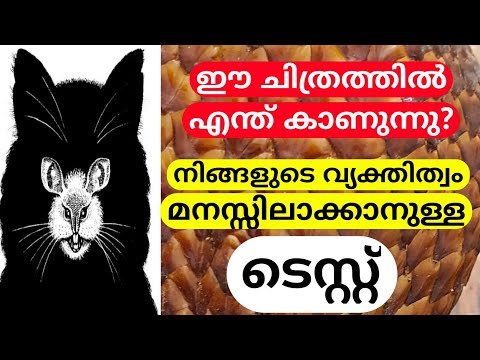 ഈ ചിത്രങ്ങളിൽ എന്ത് കാണുന്നു എന്ന് പറഞ്ഞാൽ നിങ്ങളുടെ സ്വഭാവം അറിയാം | Personality test | MTVLOG