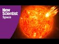 Solar Activity and Its Effects