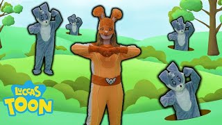 A AVENTUREIRA LARANJA EVOLUIU PARA SUPER COELHA