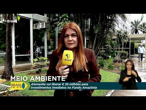 Alemanha vai investir €35 milhões no Fundo Amazônia