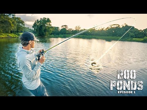 I'm Fishing 200 PONDS For Bass! (200 Ponds Ep. 1)