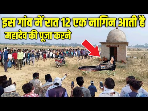 इस गांव में रात 12 बजे एक दिव्य नाग आता है महादेव की पूजा करने ,चमत्कार देख यकीन नहीं करोगे