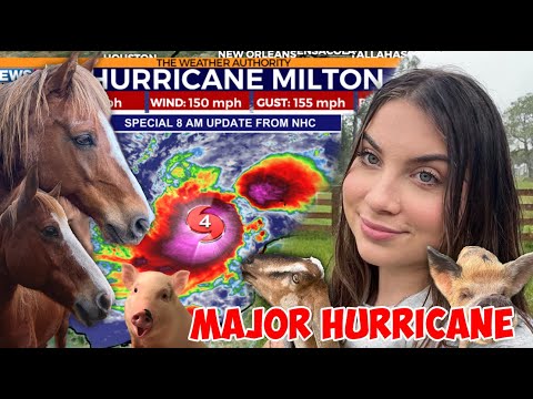 Preparing For Direct Impact of MAJOR HURRICANE MILTON