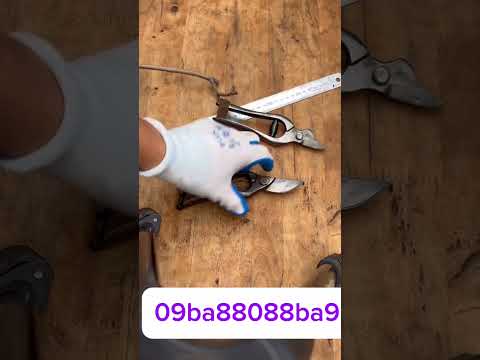 Chia sẽ giao lưu cùng ae đam mê nghệ nghệ thuật tạo tác bonsai #bonsai #bonsaitihon #bonsaitools