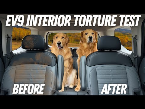 1 Year Of Dog Hair And Dirt - Here's How The Kia EV9's Interior Held Up!