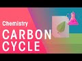 Understanding the Carbon Cycle