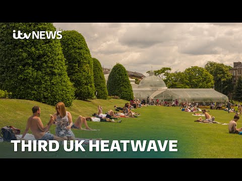 Health alerts and hosepipe bans come into force as UK faces third heatwave of the year | ITV News