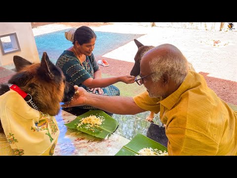 വിശന്നിട്ടു കണ്ണ് കാണാൻ വയ്യ...അമ്മേ സദ്യ വിളമ്പ്..😂|Leolaika|Chottuz