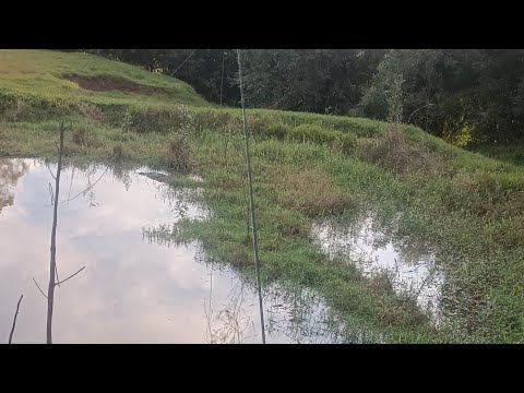 NUNCA DuViDe De UMA LAgOA pescaria!!!
