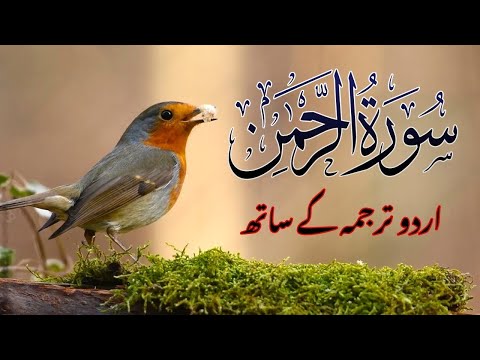 Surah Rahman Urdu Tarjuma k Sath | Qari Al Sheikh Abdul Basit Abdul Samad | Quran Karim | Recitation