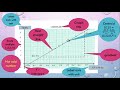 Linear Graph Analysis and Interpretation