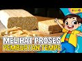 Proses Pembuatan Tempe