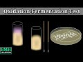 Oxidation Fermentation Test Concepts