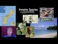 Biology Essentials: Homeostatic Disruptions