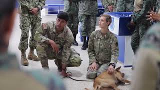 Members of the armed forces provide training to the Ecuadorian Armed Forces