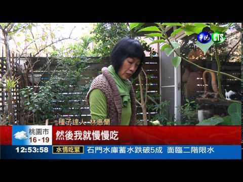 13盆栽種蔬果 小客廳變身菜園 - YouTube(2分29秒)